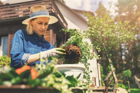 F Te Des M Res Id Es De Cadeaux Pour Les Adeptes Du Jardinage