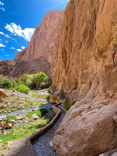 The Todra Gorge How To Experience Moroccos Most Beautiful Oasis