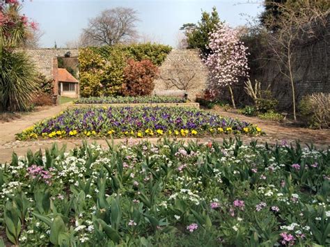 Spring Flowers In Manor Gardens Paul Gillett Geograph Britain And