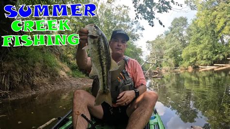 Creek Fishing For Summer Bass Youtube