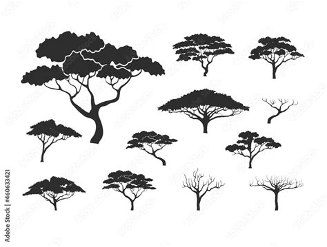 Acacia Tree Vector Collection Silhouette Of Acacia Tree Stock Vector