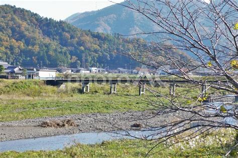 彦根市 芹川付近 秋の風情 紅葉 No 608217｜写真素材なら「写真ac」無料（フリー）ダウンロードok