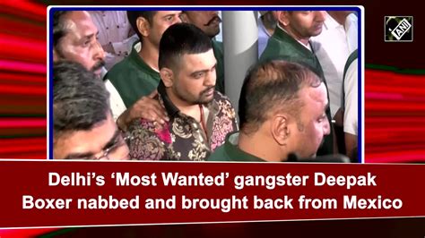 Delhis Most Wanted Gangster Deepak Boxer Nabbed And Brought Back