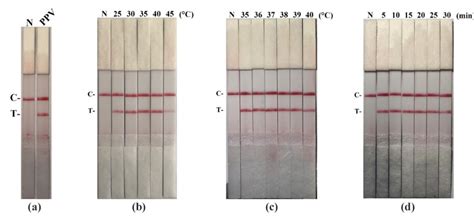 Establishment And Optimization Of The Ppv Raa Lfd Assay A