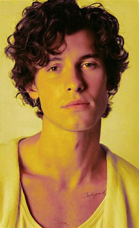 Pin By Lexie On Shawn Mendes Shawn Mendes Hair Mendes Shawn Mendes