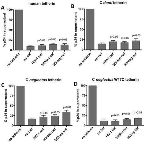 Tetherin Antagonism By Different Nef Proteins Hiv Nef C Denti Nef