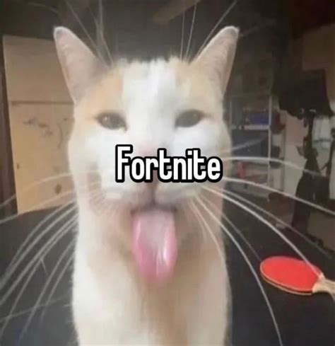 fortnite cat | Cats, Fortnite, Animals