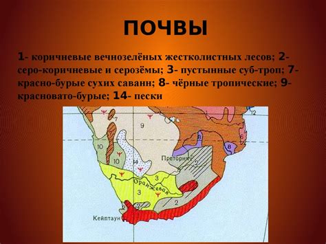Южно-Африканская Республика (ЮАР) - online presentation