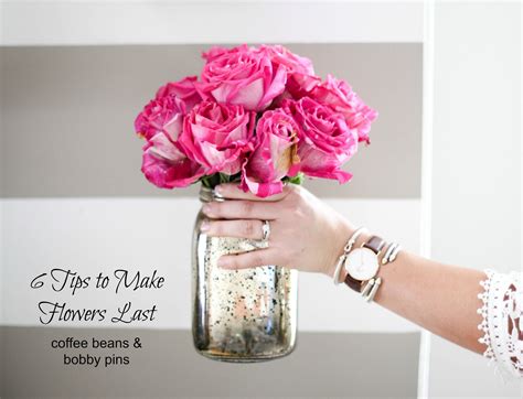 6 Tips To Make Flowers Last Coffee Beans And Bobby Pins Unique