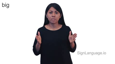 Big In Asl Example 5 American Sign Language