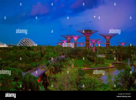 Singapore Jun Evening View Of The Supertree Grove Cloud Forest