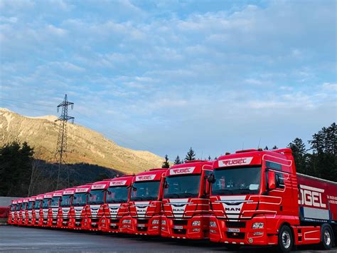 Geschichte Vögel Transporte