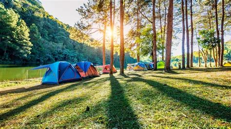 Abierto El Plazo De Inscripción En Los Campamentos De Verano Para