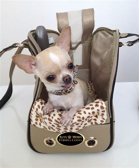 Bolsos Para Perros Alta Moda Europea Canina