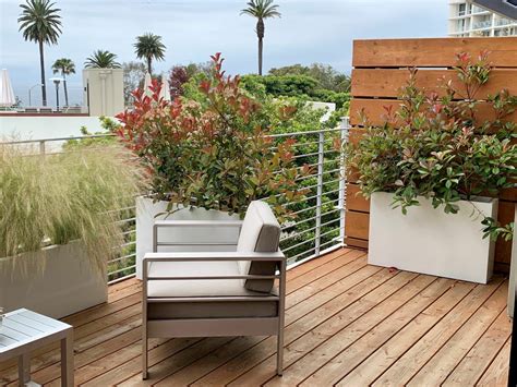 Tall Planters For Privacy Planting Tips For A Beautiful Privacy