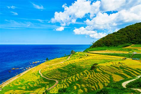 Shiroyone Senmaida Rice Terraces Wajima City Travel Guide Tokyo Weekender