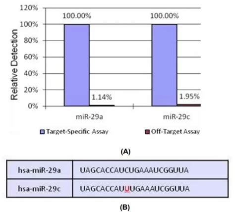 Microrna Profiling By Qpcr