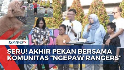 Buat Akhir Pekan Makin Seru Bersama Komunitas Ngepaw Rangers Youtube