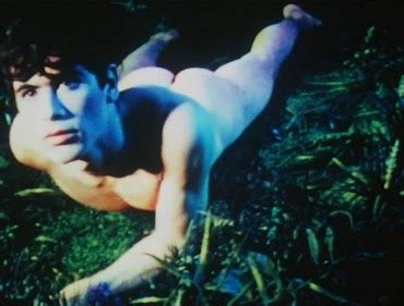 Gay Ekfansi Pink Narcissus A Film By James Bidgood