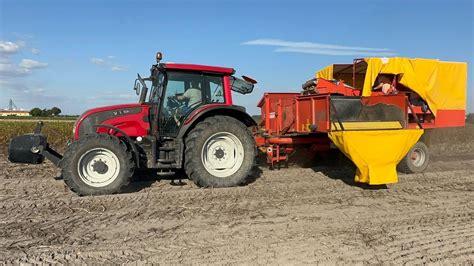 723 Kopanie i przygotowywanie ziemniaków na sprzedaż Grimme w akcji