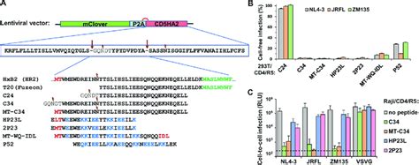 Construction And Anti Hiv 1 Activity Of Peptides From Hr2 Domain Of