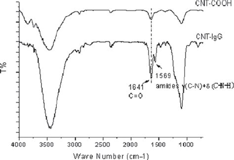 Atr Ftir Spectra Of Cnts The Absorption Peak At 1 569 Cm −1 Indicates Download Scientific