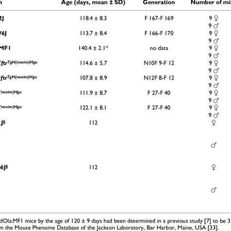 Body Weights Of The Investigated Mice Download Table