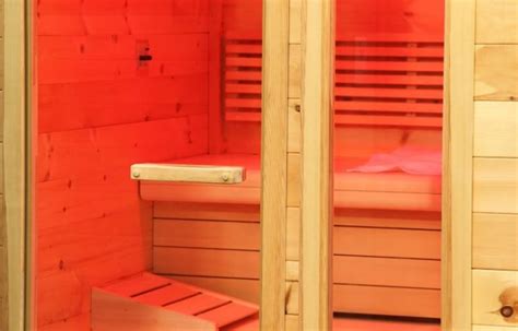 Best Low Emf Portable Saunas For 2024 EMF Protection Pros