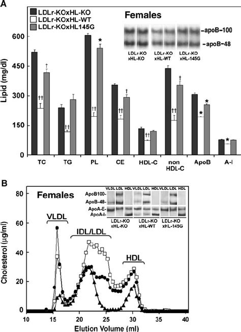 Hl Wt And Hl S145g Plasma Lipid Lipoprotein And Apolipoprotein Download Scientific Diagram