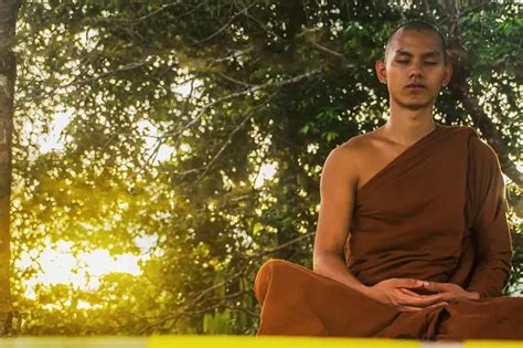 Meditazione Zen Zazen Cos Come Si Pratica Benefici