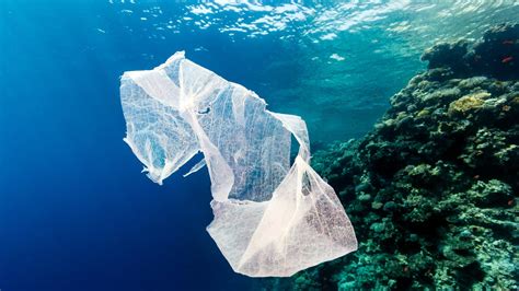 Plastic Is Riddling Corals With Disease The Atlantic