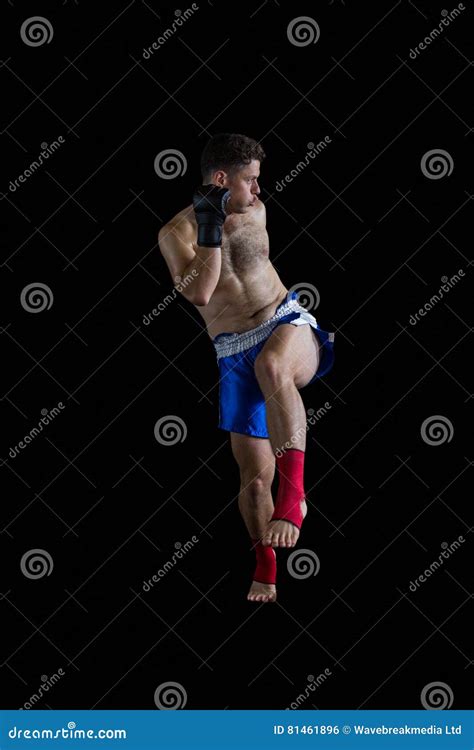 Boxer Performing Boxing Stance Stock Photo Image Of Preparation