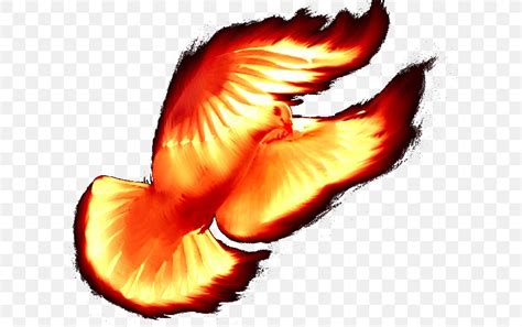 Holy Spirit Beak Sacred Understanding, PNG, 620x515px, Holy Spirit ...