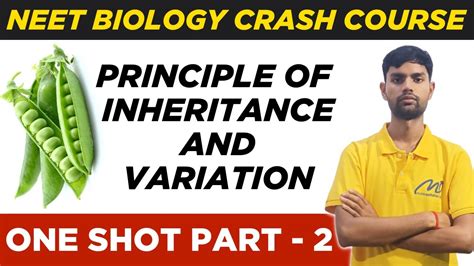 Principle Of Inheritance And Variation Part Mendel S Law Of