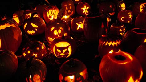 Don't throw away your Halloween pumpkins: How to properly dispose of ...