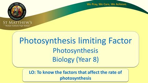 Photosynthesis Limiting Factors Youtube