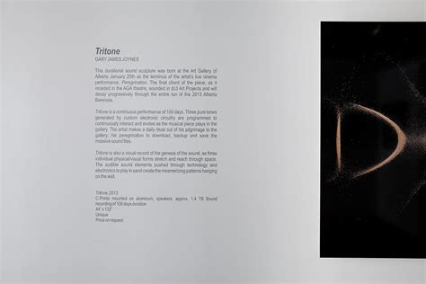 TRITONE « GARY JAMES JOYNES / CLINKER | SOUND + VISUAL ARTIST