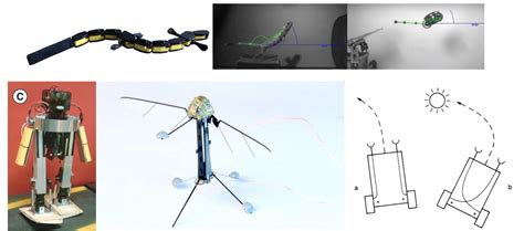 Biology-inspired Robotics