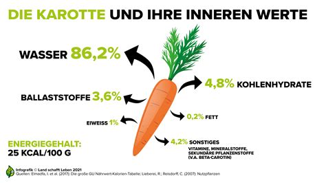 Infografiken Zur Karotte I Land Schafft Leben