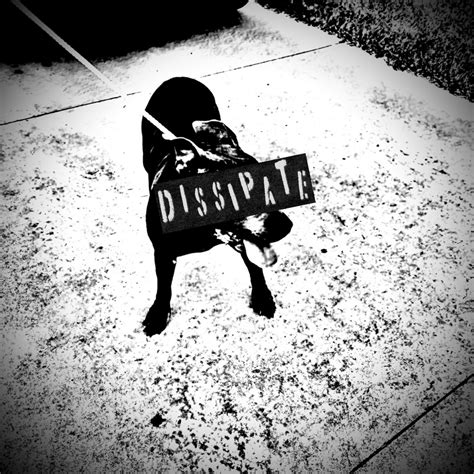 how to pronounce dissipate