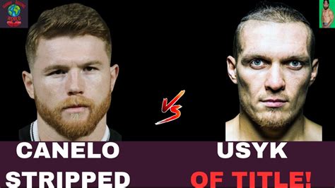 CANELO ALVAREZ IS STRIPPED OF ONE OF HIS TITLES AND ALSO OLEKSANDR USYK