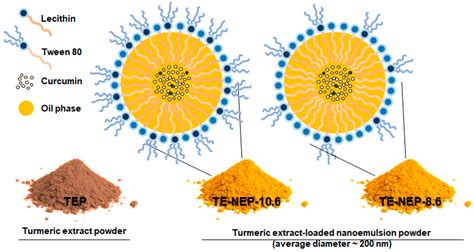 Ijms Free Full Text Cytotoxicity Evaluation Of Turmeric Extract