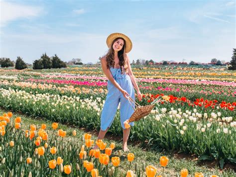 Visiting Texas Tulips: Everything You Need To Know