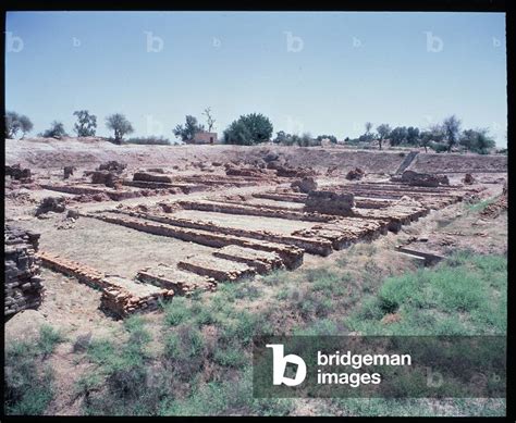 Image Of Indus Valley Civilization View Of The Houses And Granaries