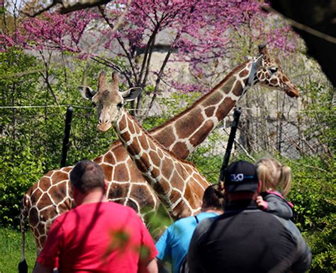 Top Reasons To Join Indianapolis Zoo - Zoos - USA - Indiana ...