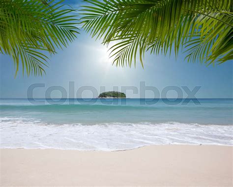 Tropic Island Stock Image Colourbox