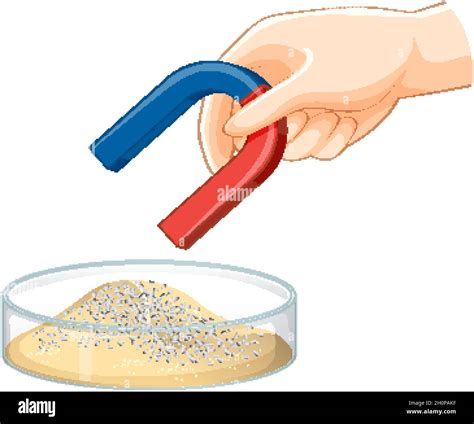 Separating mixtures by using magnet illustration Stock Vector Image ...