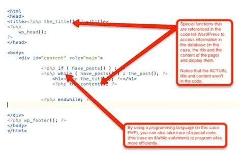 Mind-Blowing Difference Between Static And Dynamic Websites