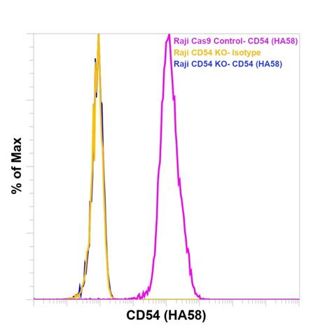 Cd Icam Monoclonal Antibody Ha Novafluor Red