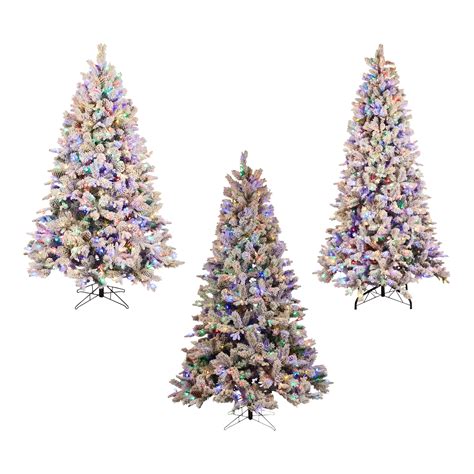 Shop Holiday Living Albany Flocked Artificial Christmas Tree Collection